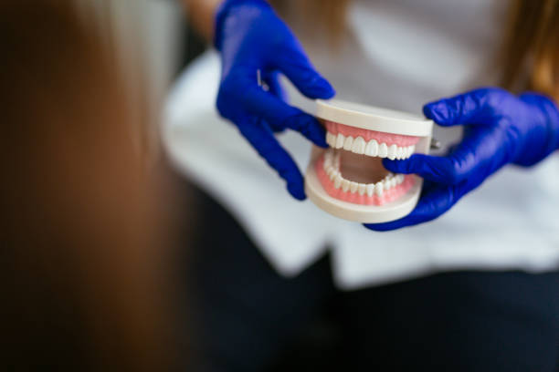 Best Dental X-Rays and Imaging  in Niwot, CO